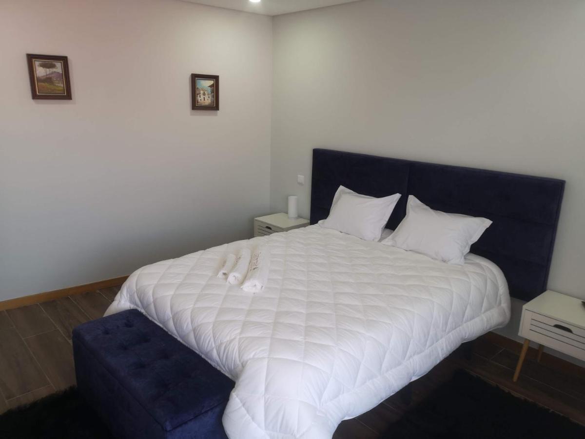 Leonchic - Guest House Com Piscina De Agua Salgada Барселос Екстериор снимка