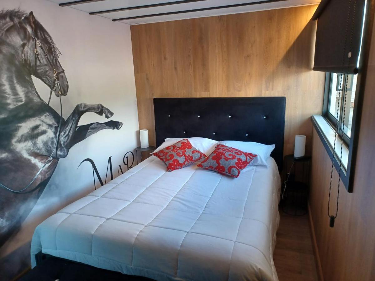 Leonchic - Guest House Com Piscina De Agua Salgada Барселос Екстериор снимка