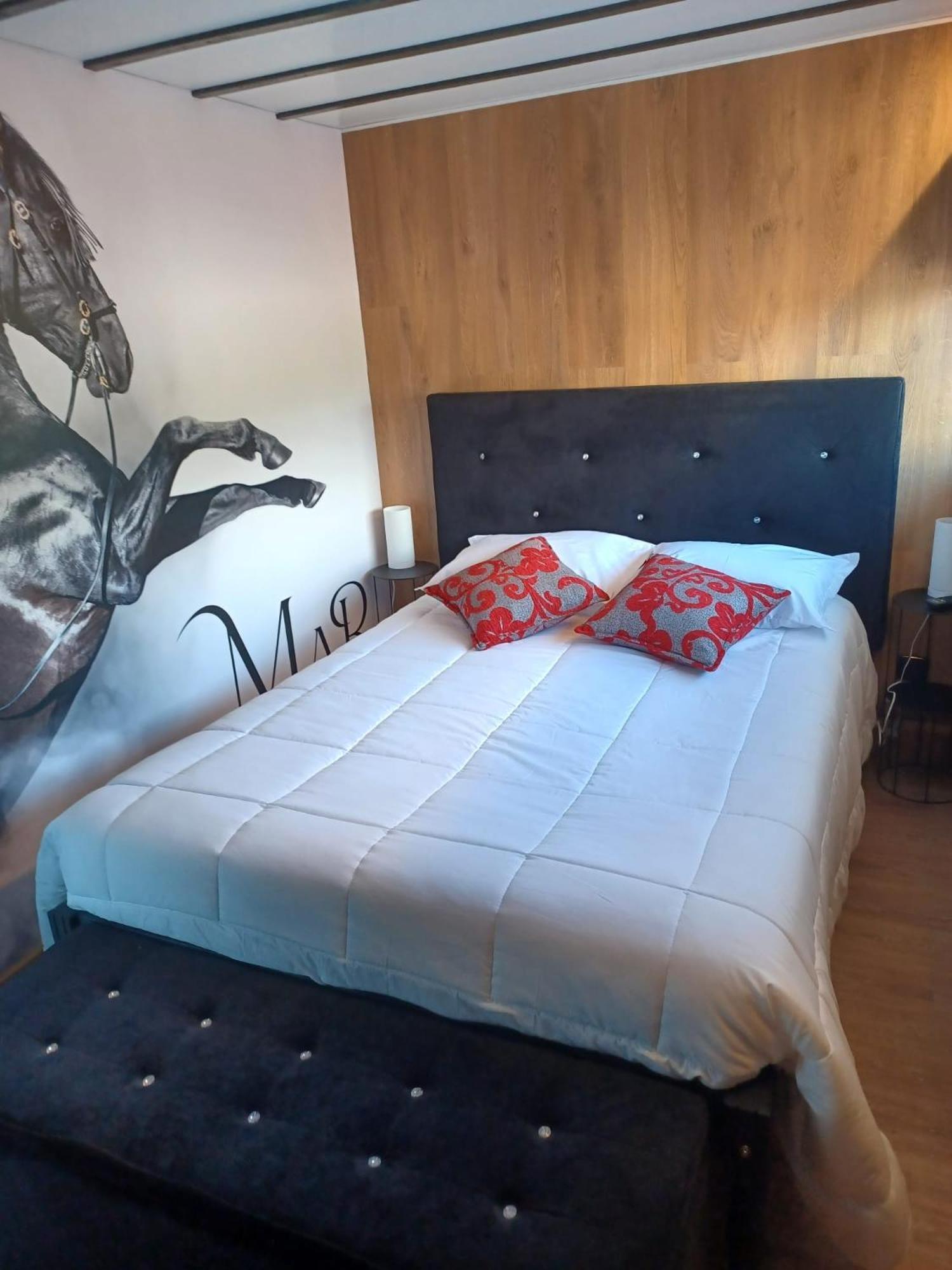Leonchic - Guest House Com Piscina De Agua Salgada Барселос Екстериор снимка